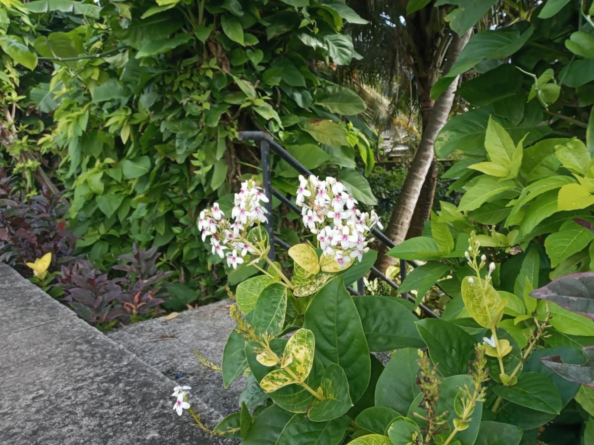 Tharul Home بينتوتا المظهر الخارجي الصورة